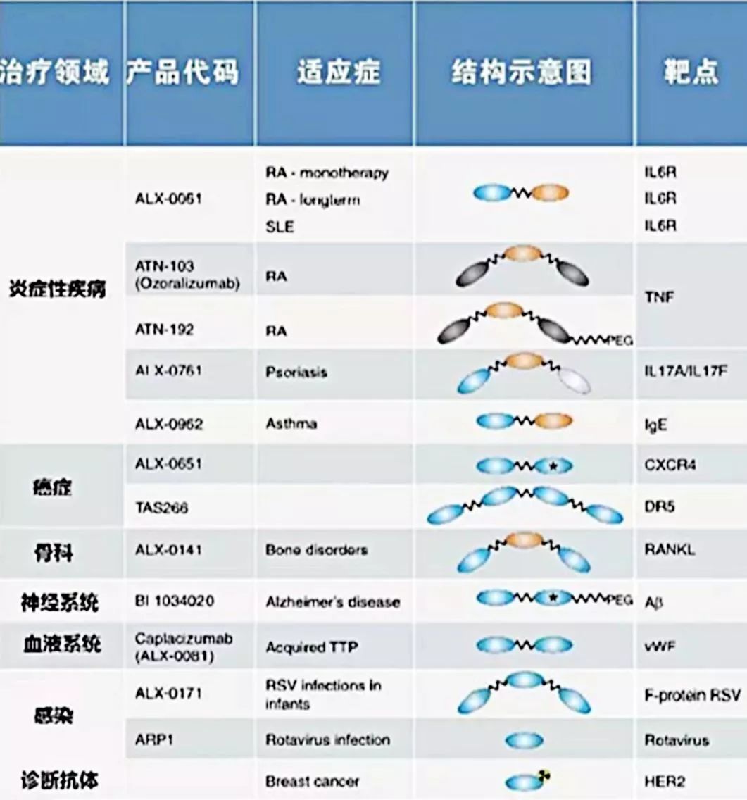 行研 | 納米抗體 – 抗體界的“百變星君”，如何突破抗體藥的激烈重圍？-肽度TIMEDOO